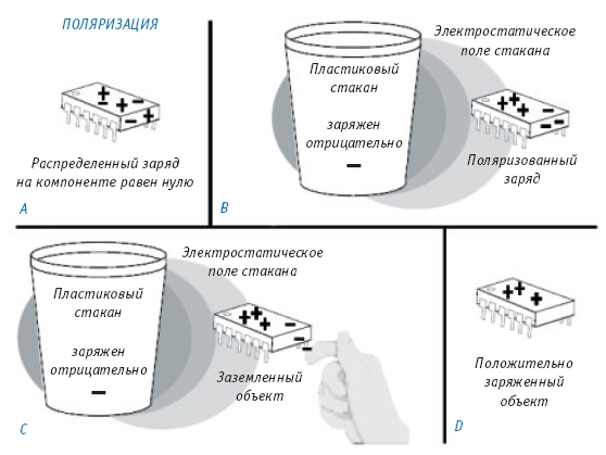 Поляризация